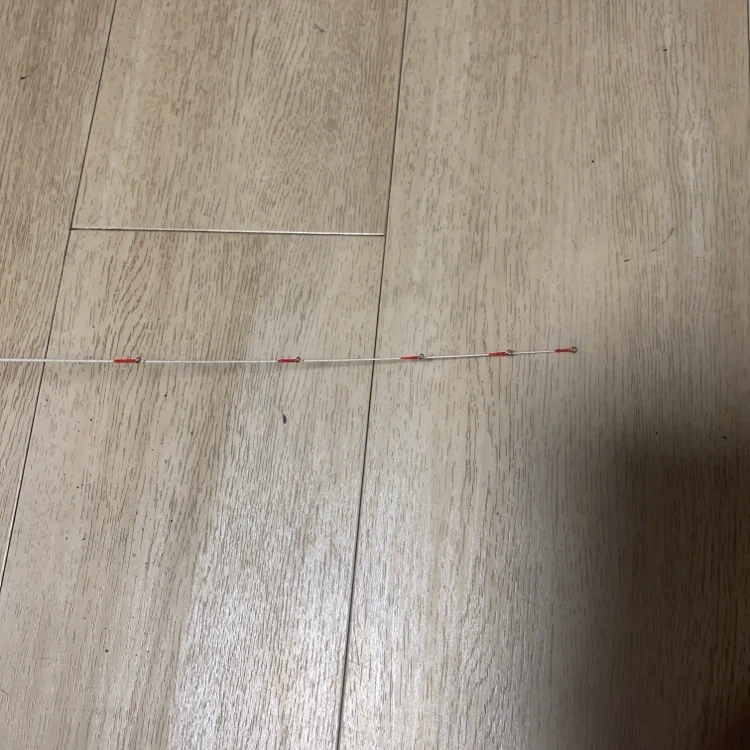月光涙、1.6m..の写真5枚目