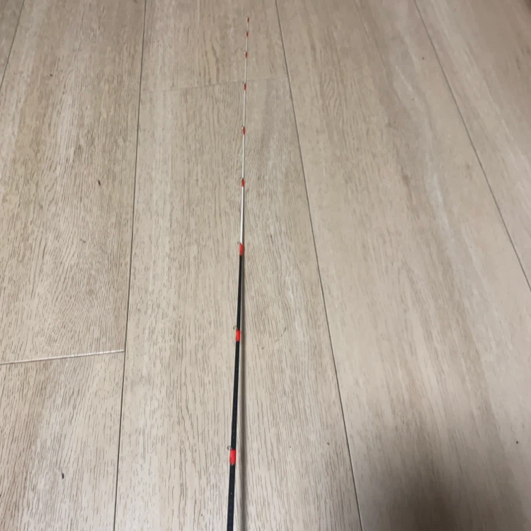 月光涙、1.6m..の写真6枚目