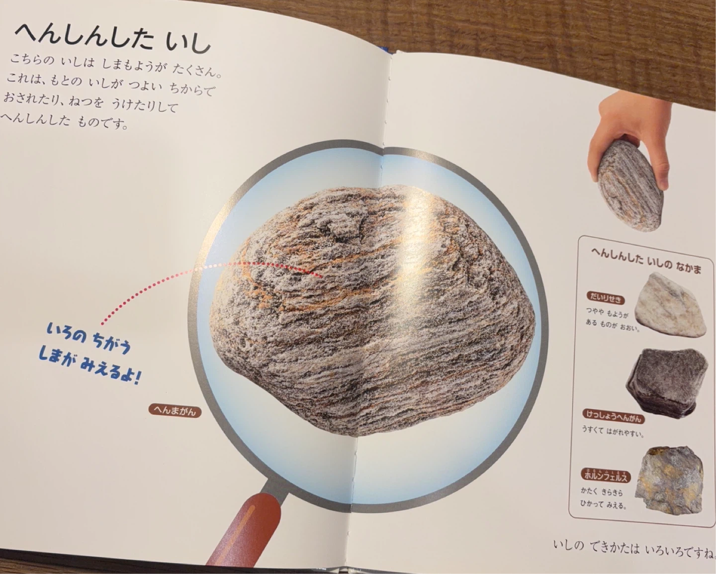 お値下しました【科学絵本】フレーベル館 の月刊保育絵本「しぜん」キンダーブック 24冊セットの写真5枚目