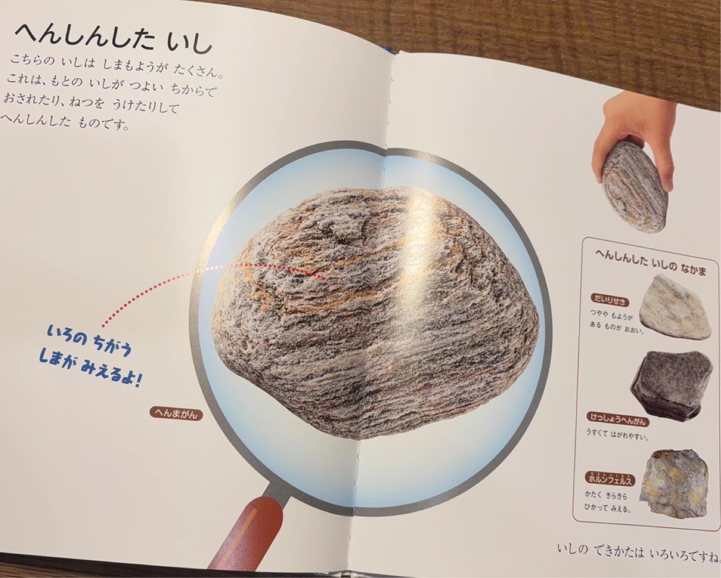 お値下しました【科学絵本】フレーベル館 の月刊保育絵本「しぜん」キンダーブック 24冊セットの写真5枚目