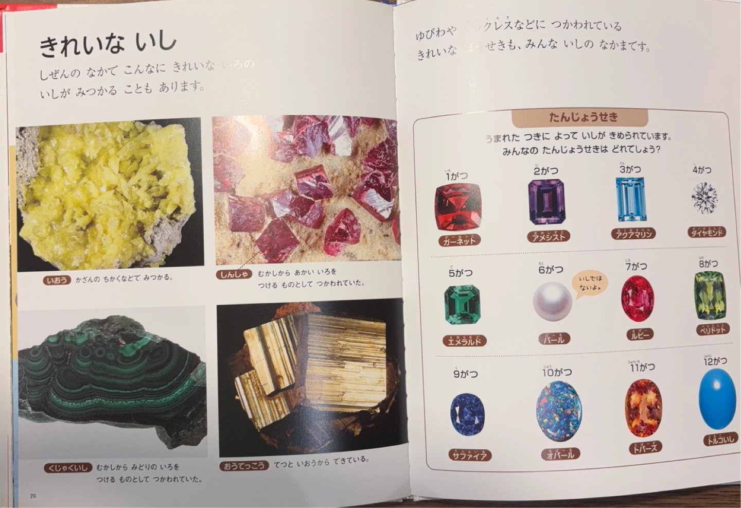 お値下しました【科学絵本】フレーベル館 の月刊保育絵本「しぜん」キンダーブック 24冊セットの写真6枚目