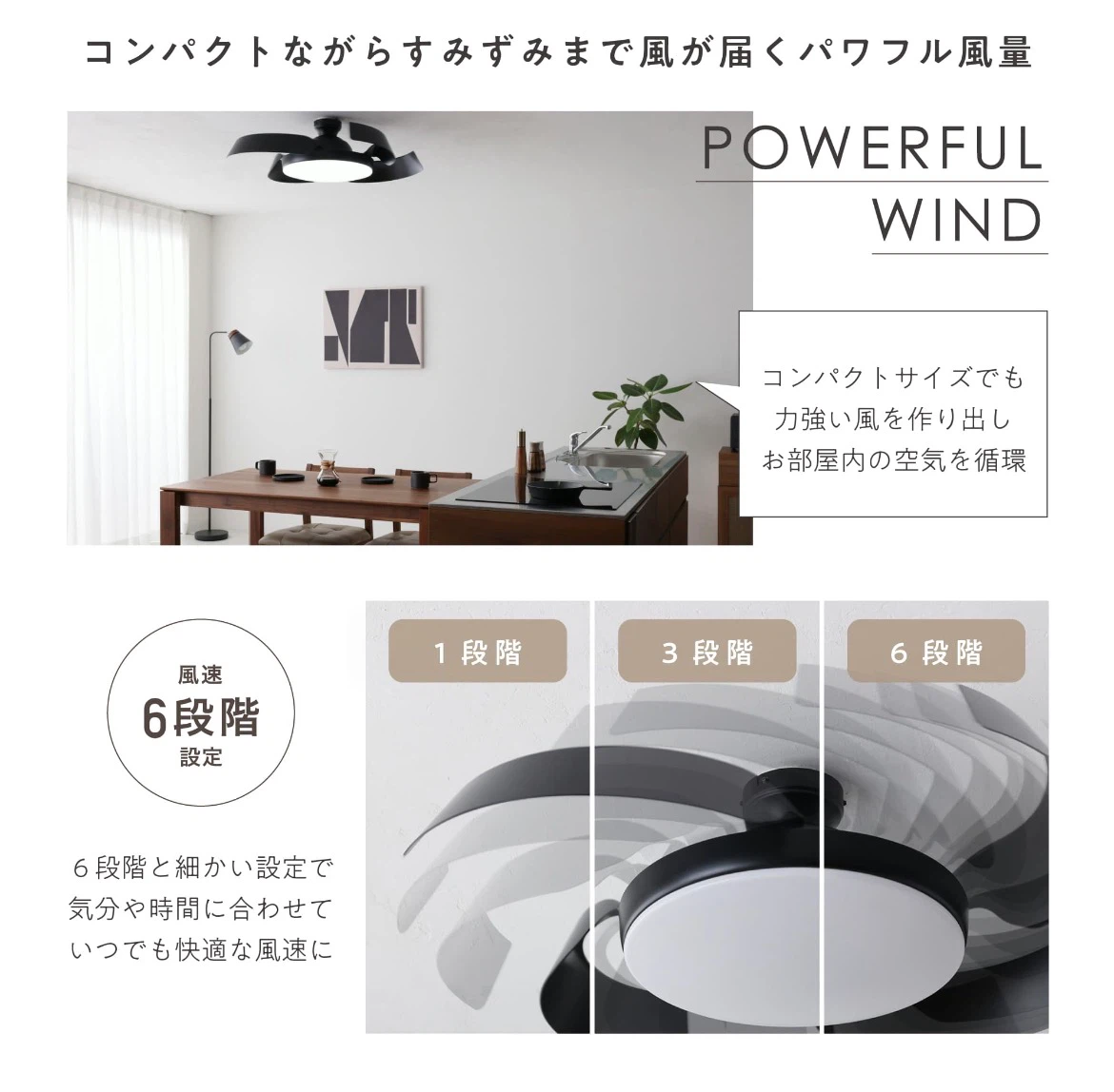シーリングファンライト LED ブラックの写真2枚目