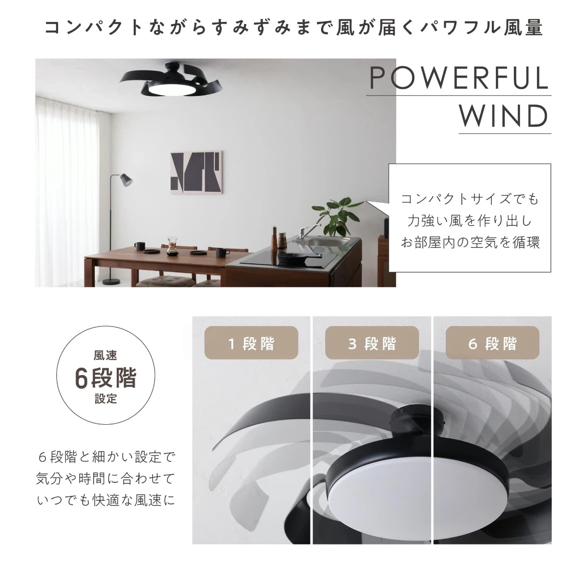シーリングファンライト LED ブラックの写真2枚目