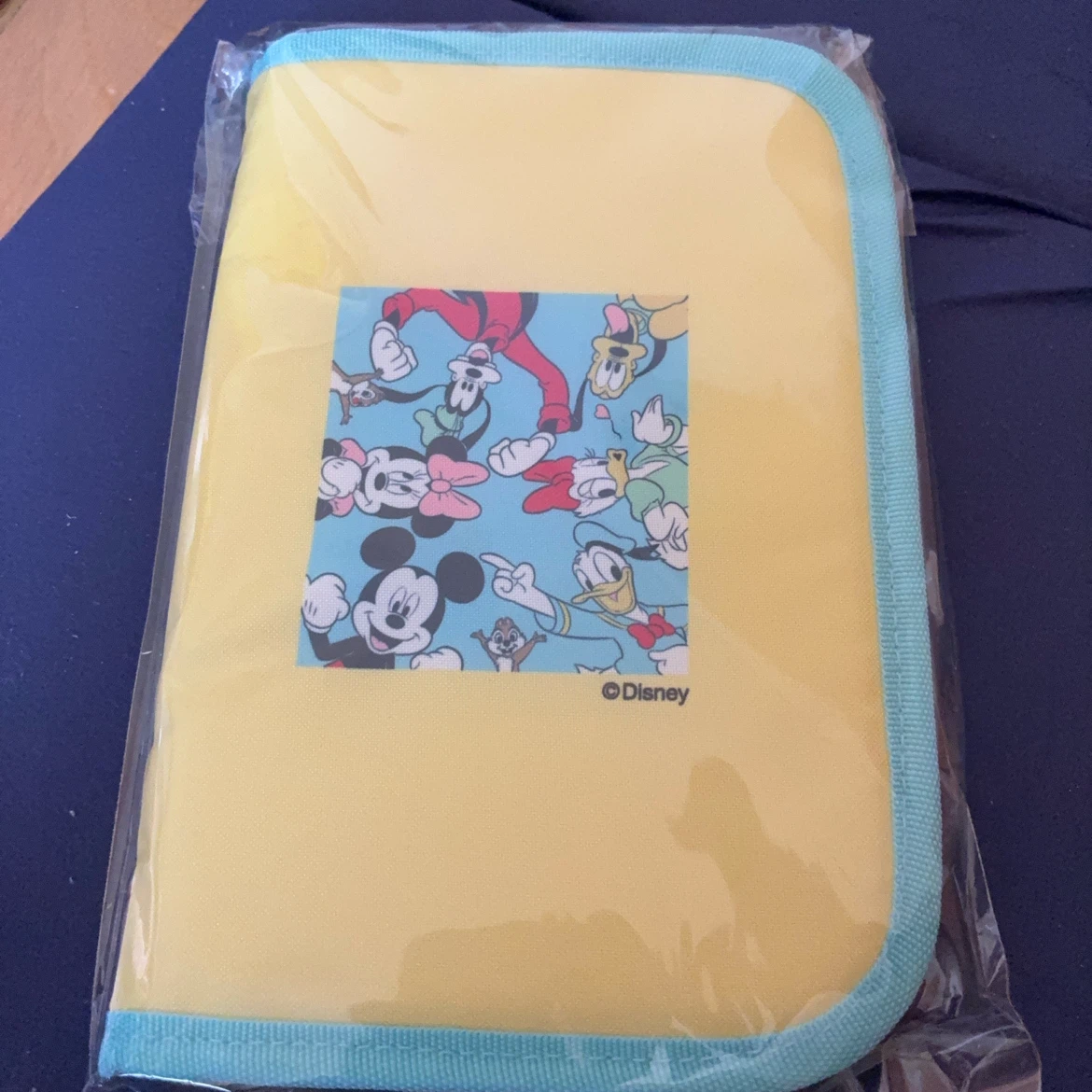 ディズニー マルチケース 母子手帳ケース