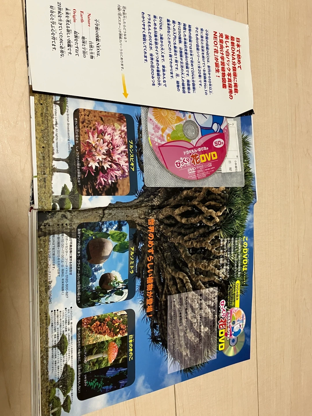 小学館の図鑑NEO 4冊セット 野菜・花・人間・地球の写真2枚目