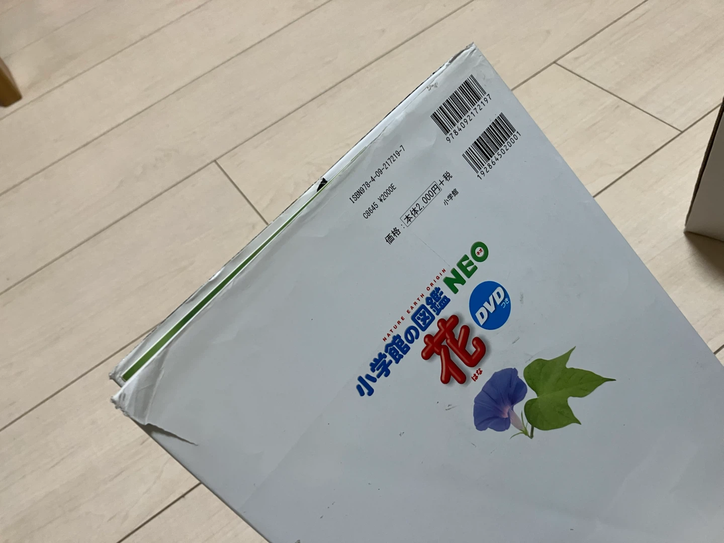 小学館の図鑑NEO 4冊セット 野菜・花・人間・地球の写真4枚目