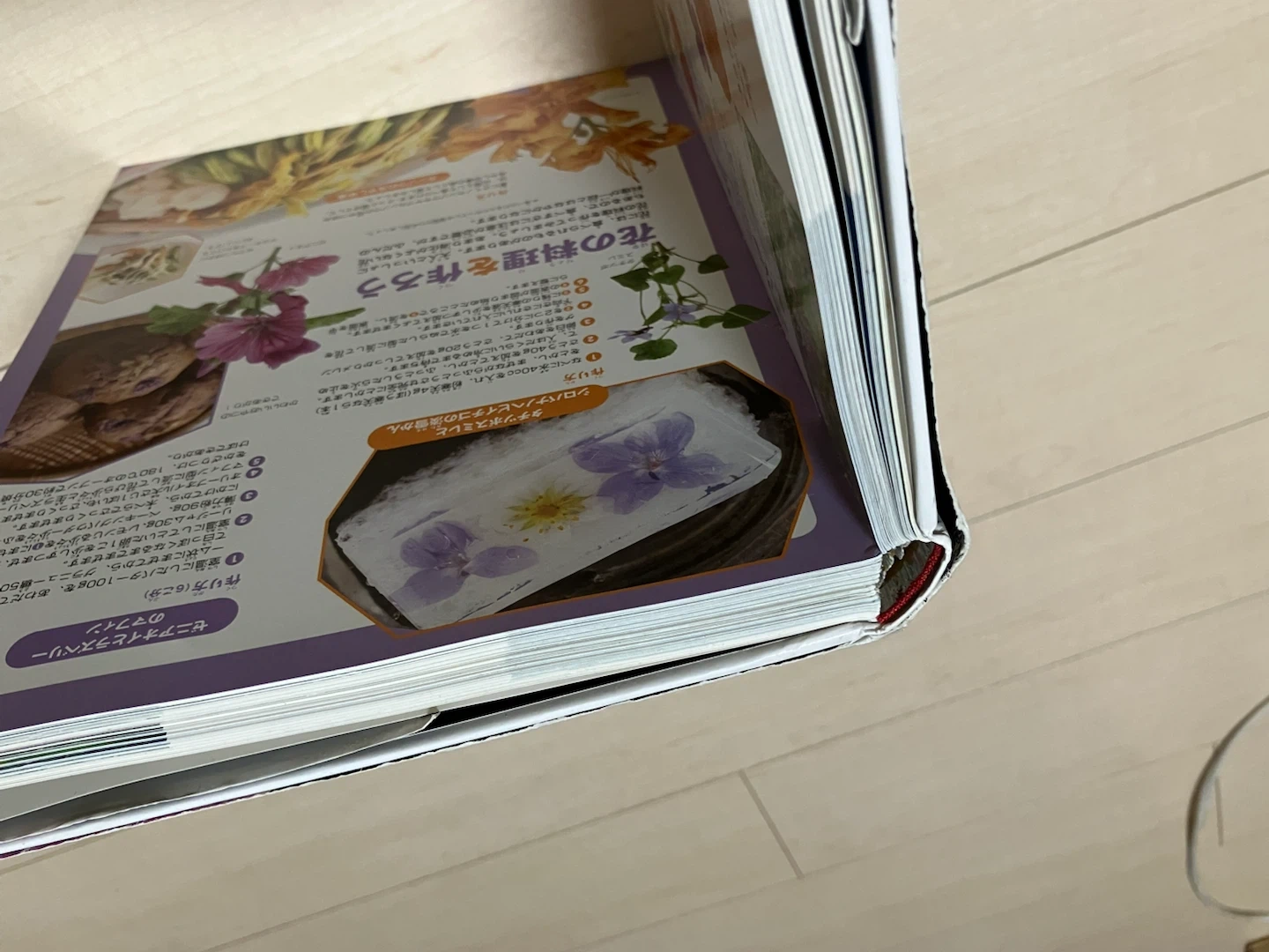 小学館の図鑑NEO 4冊セット 野菜・花・人間・地球の写真5枚目