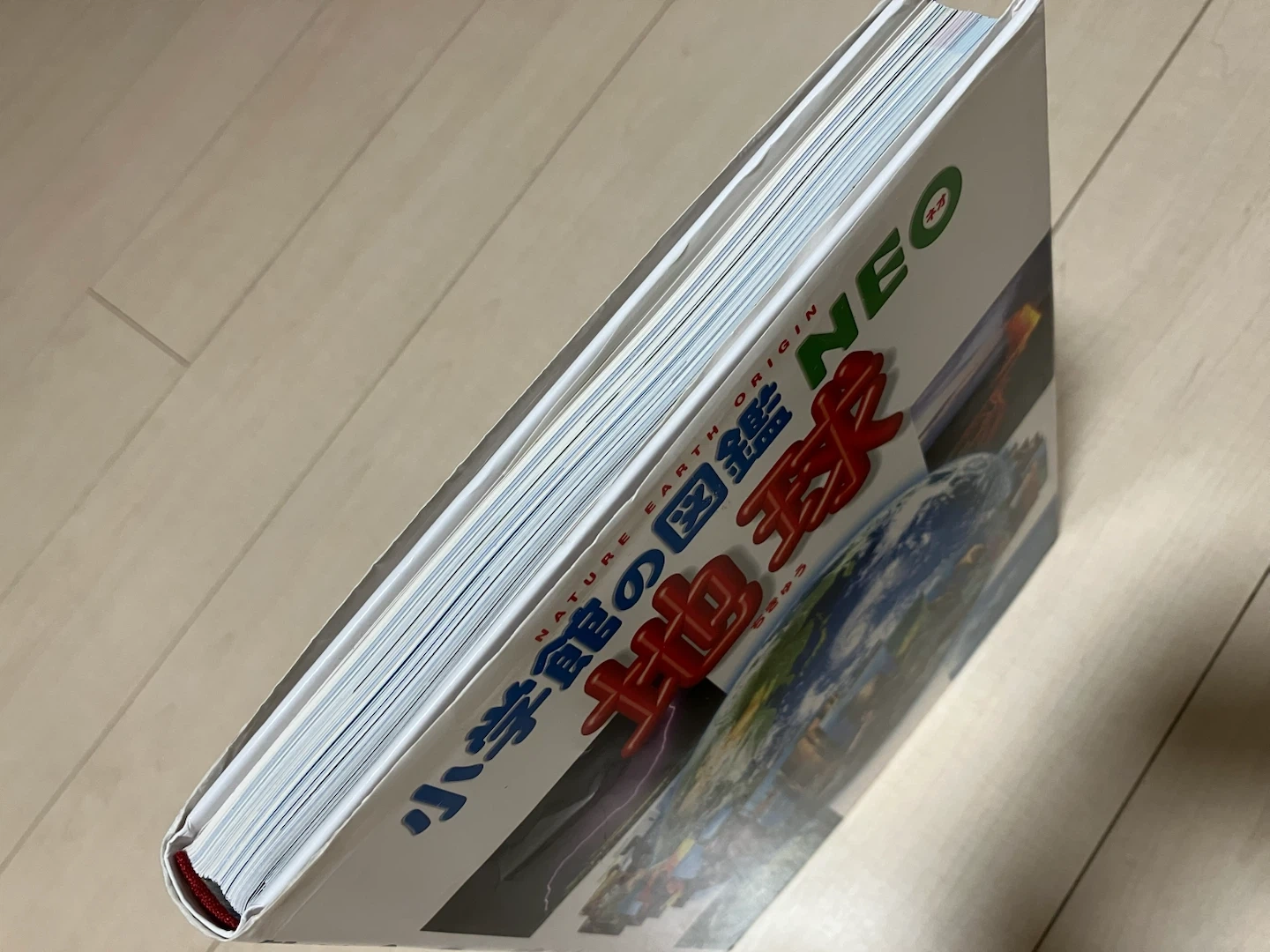 小学館の図鑑NEO 4冊セット 野菜・花・人間・地球の写真7枚目