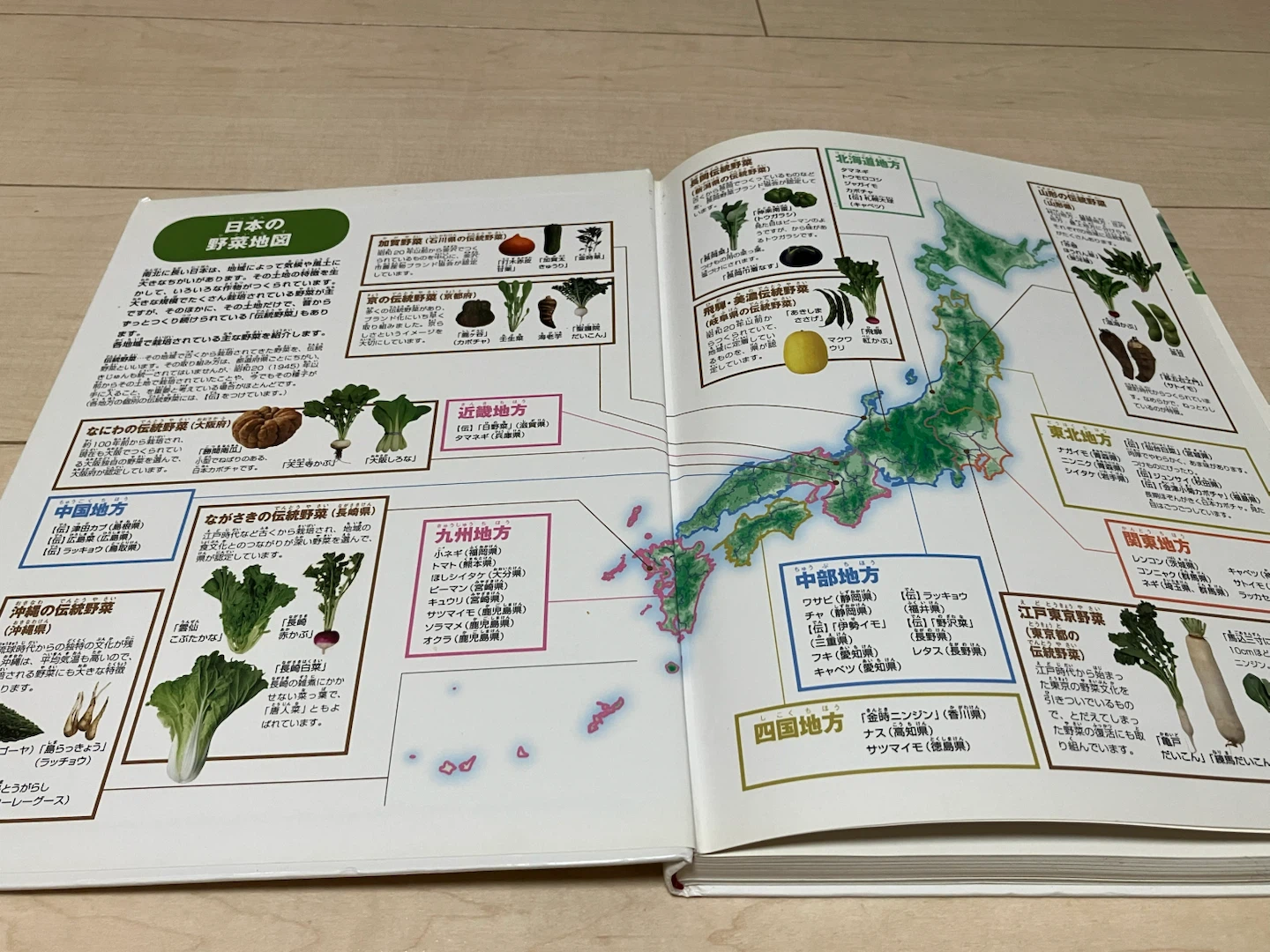 小学館の図鑑NEO 4冊セット 野菜・花・人間・地球の写真9枚目
