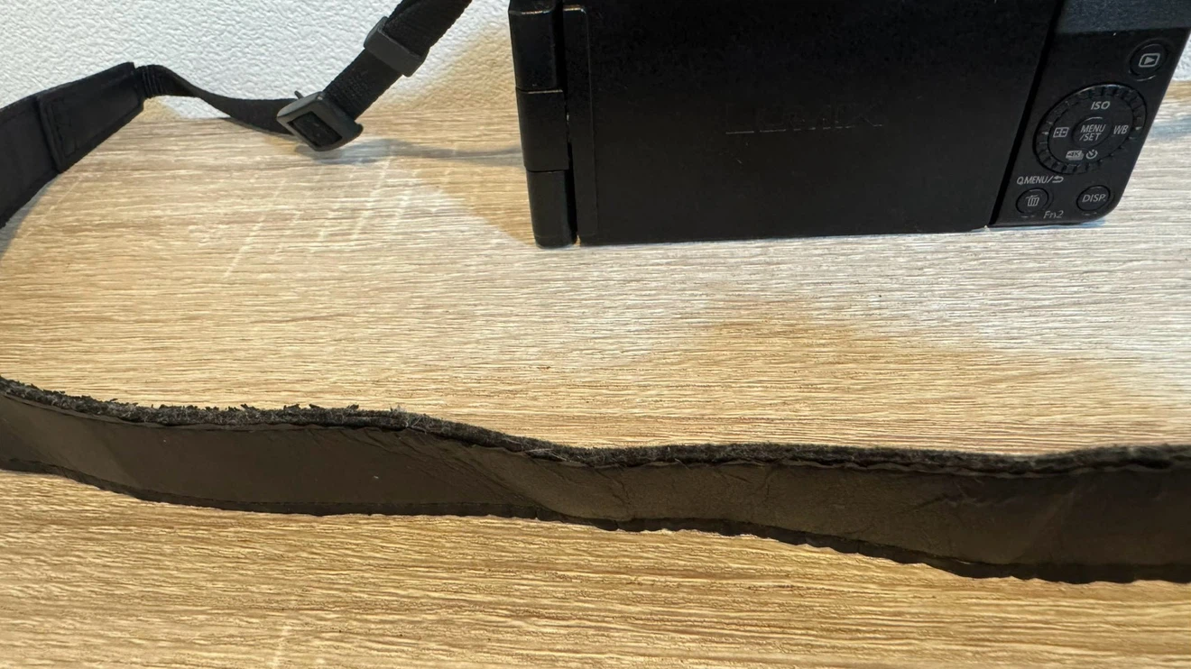 パナソニック ルミックス デジタル一眼カメラDC-G100の写真4枚目