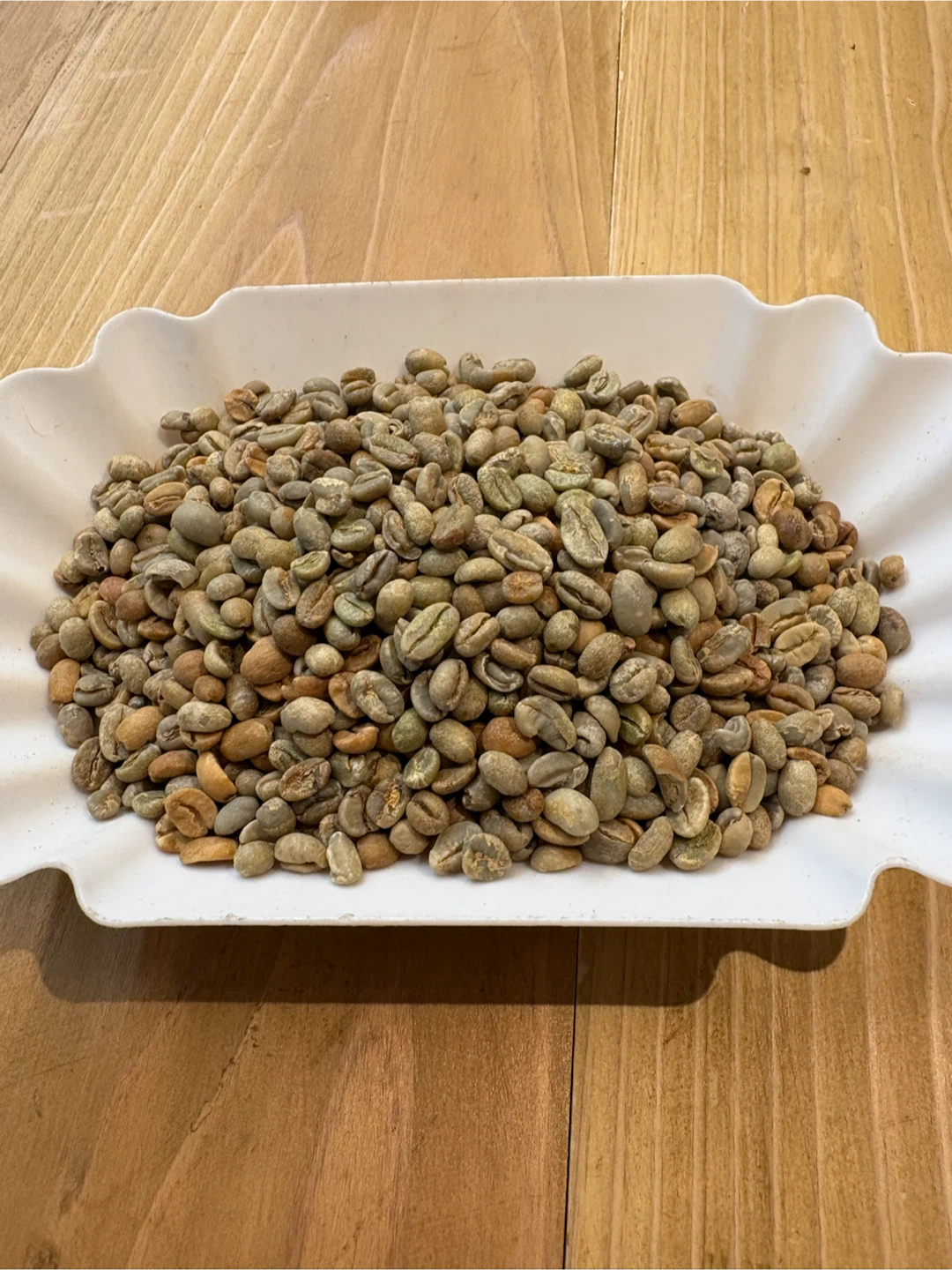 コーヒー生豆　欠点豆