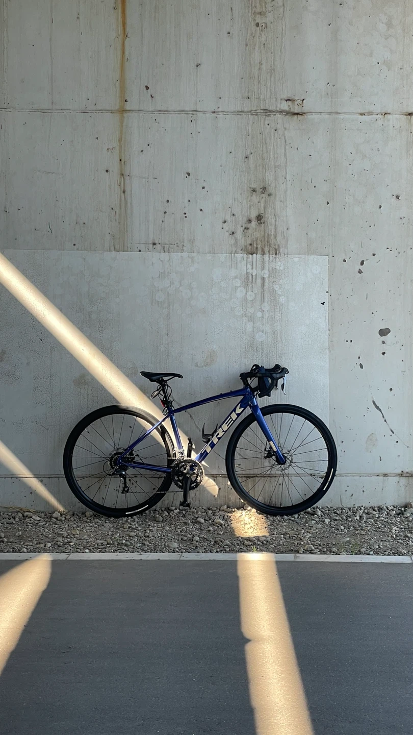 トレック DOMANE AL2ロードバイク ブルー