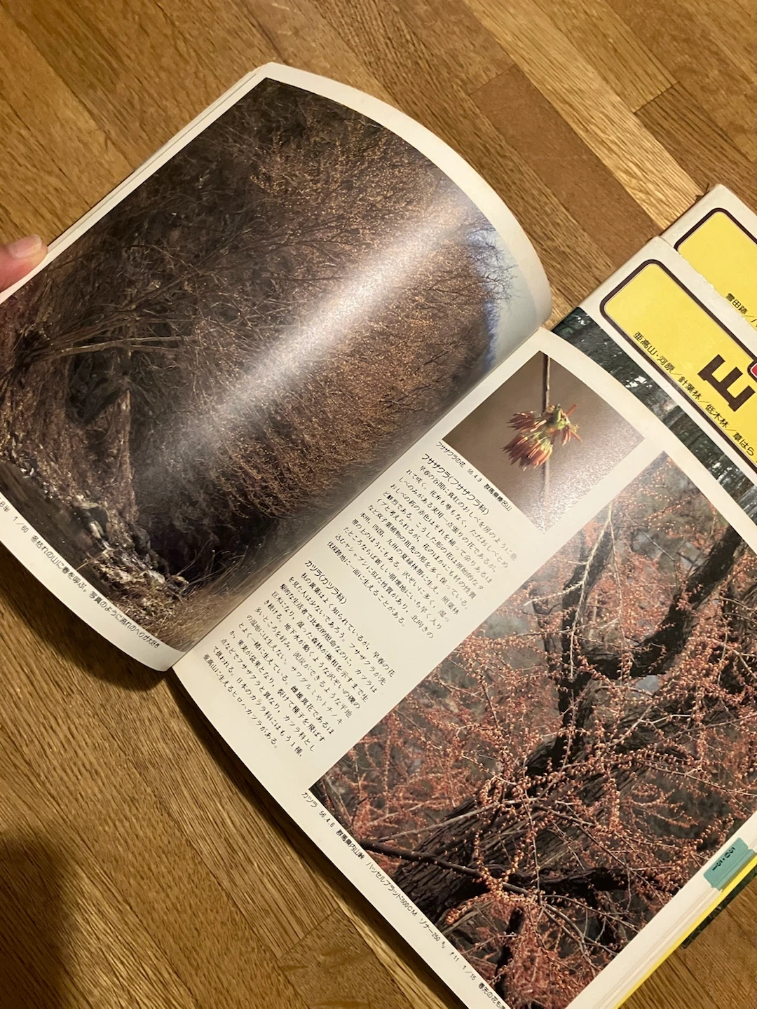NHK出版 山の花 3冊セットの写真2枚目