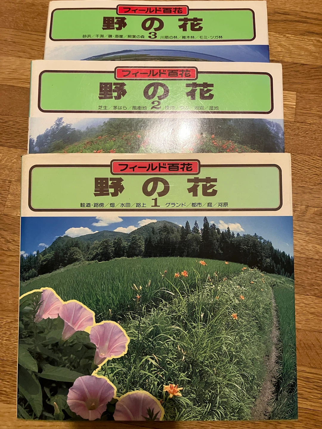 NHK出版　野の花