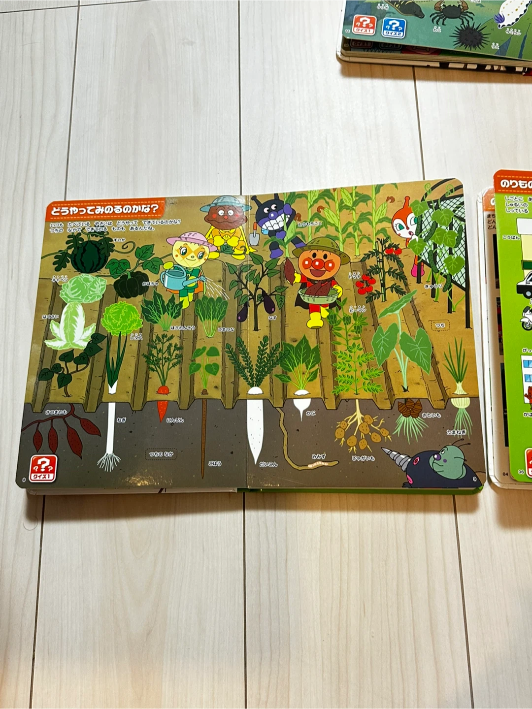 【早い者勝ち！】アンパンマン　おしゃべりものしり図鑑セットの写真7枚目