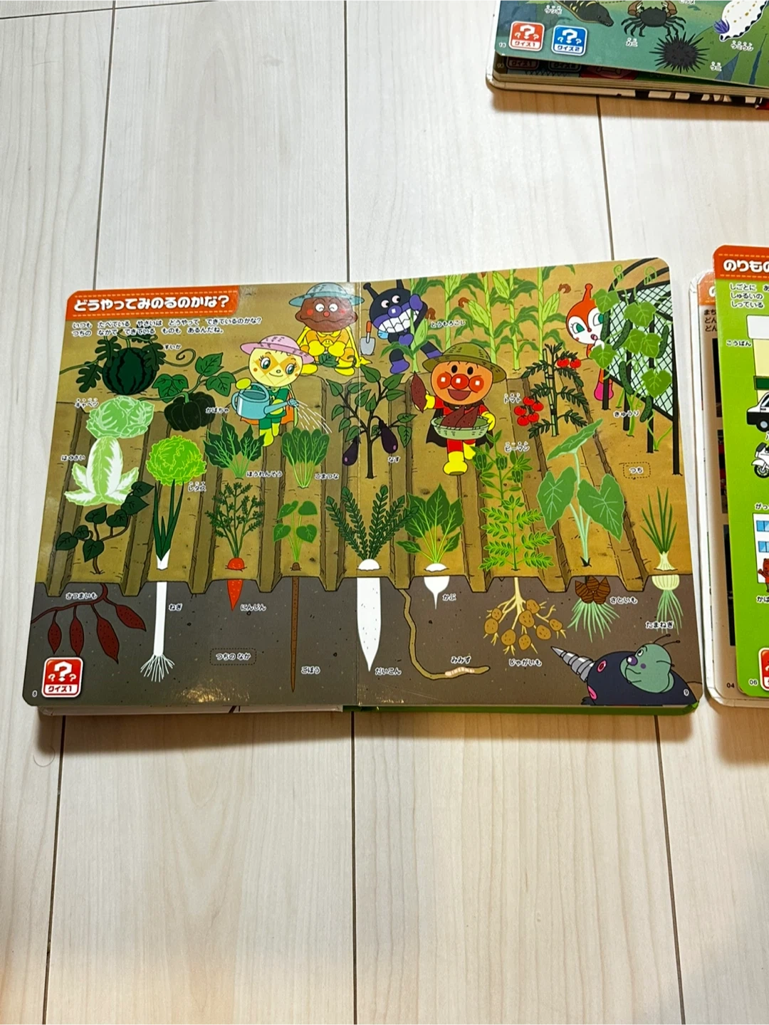 【早い者勝ち!】アンパンマン おしゃべりものしり図鑑セットの写真7枚目