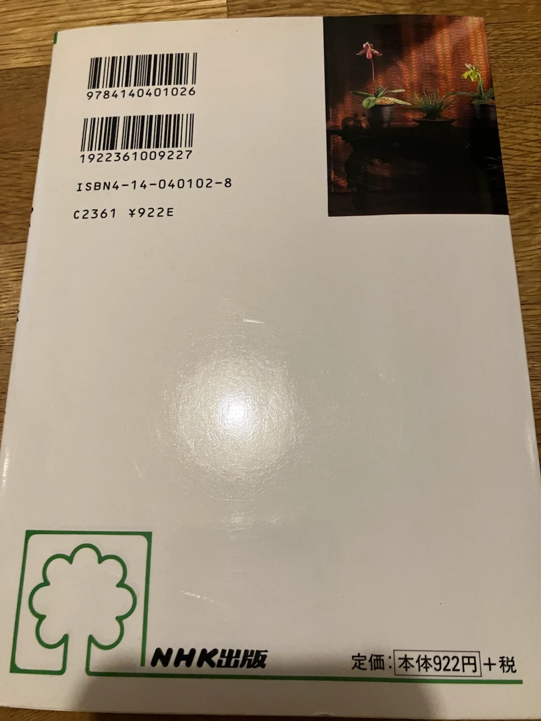 趣味の園芸 パフィオペディラムの写真2枚目