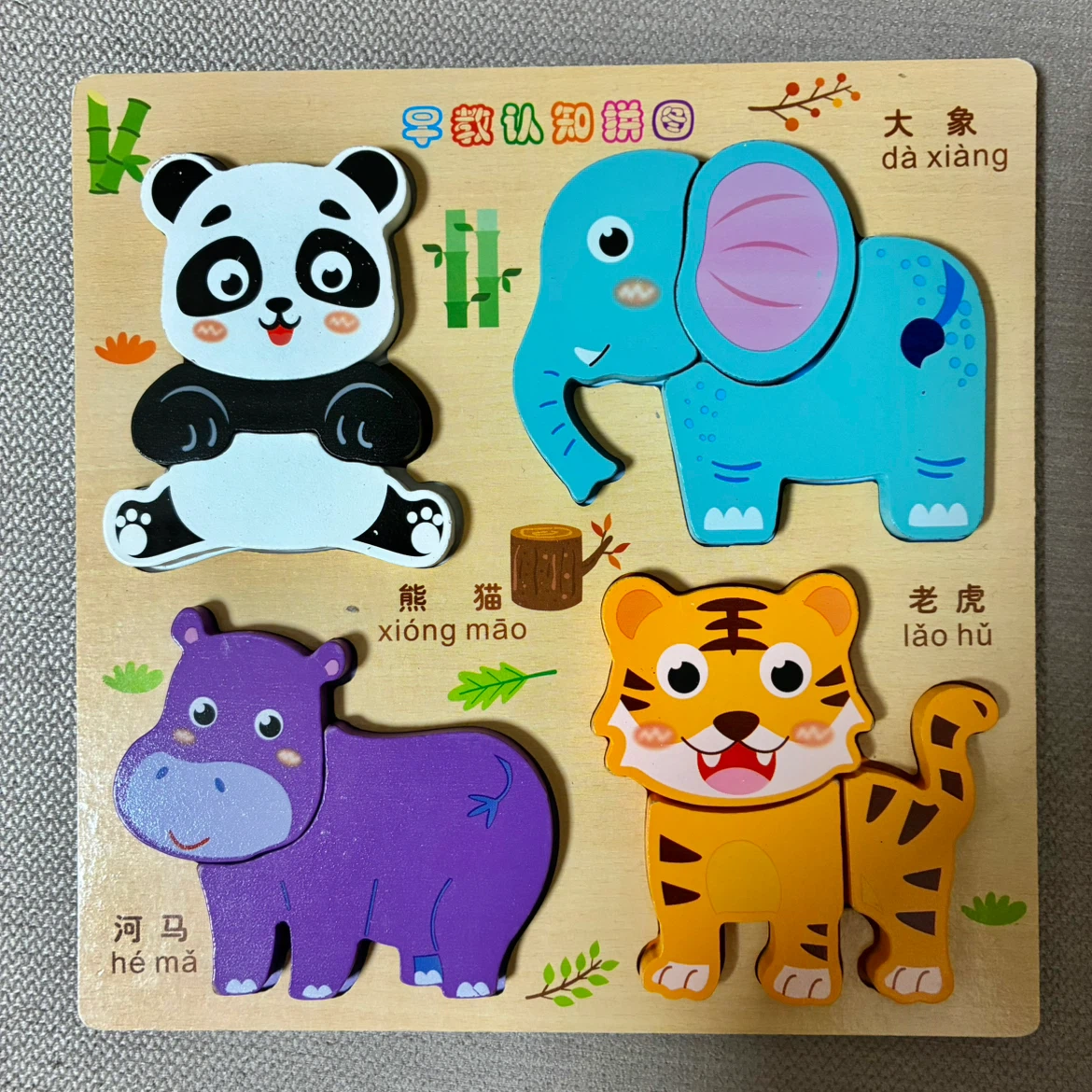 未使用　木製知育　パズル  5種セットの写真5枚目