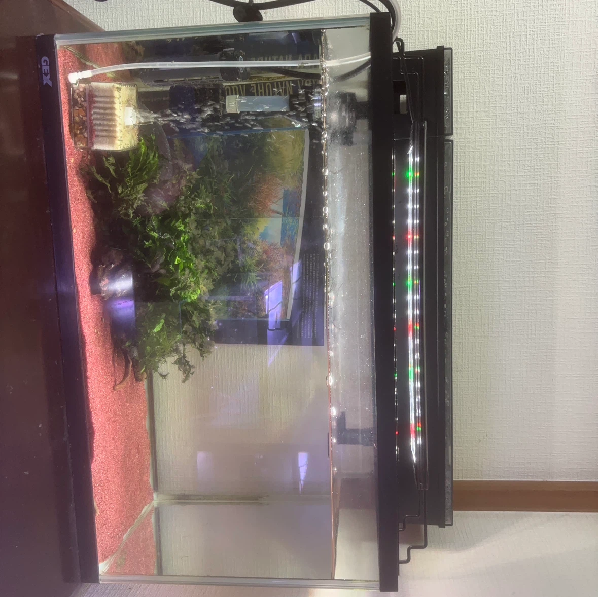 GEX 水槽セット フィルター ライト付き