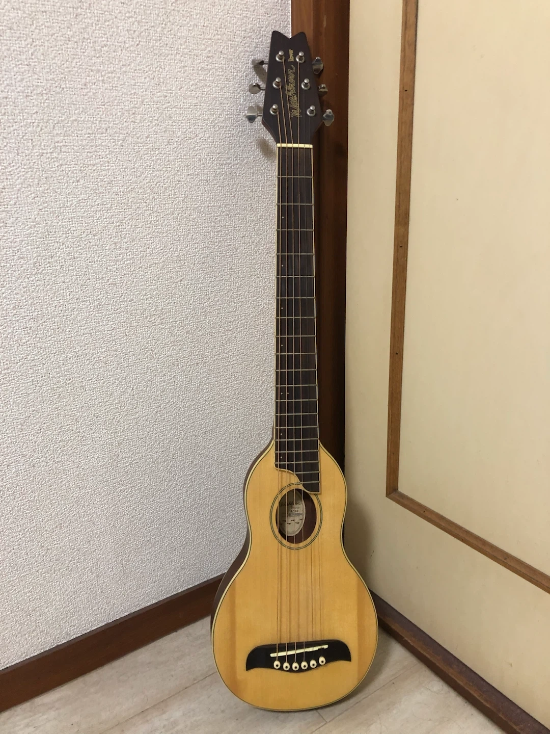 Washburn トラベルギター RO10