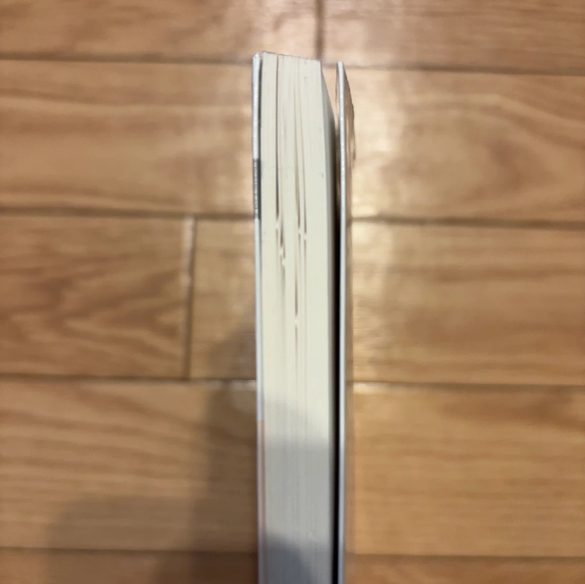 三訂 栄養学総論 日本人の食事摂取基準準拠の写真2枚目