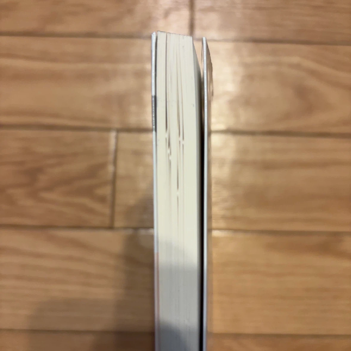 三訂 栄養学総論 日本人の食事摂取基準準拠の写真2枚目