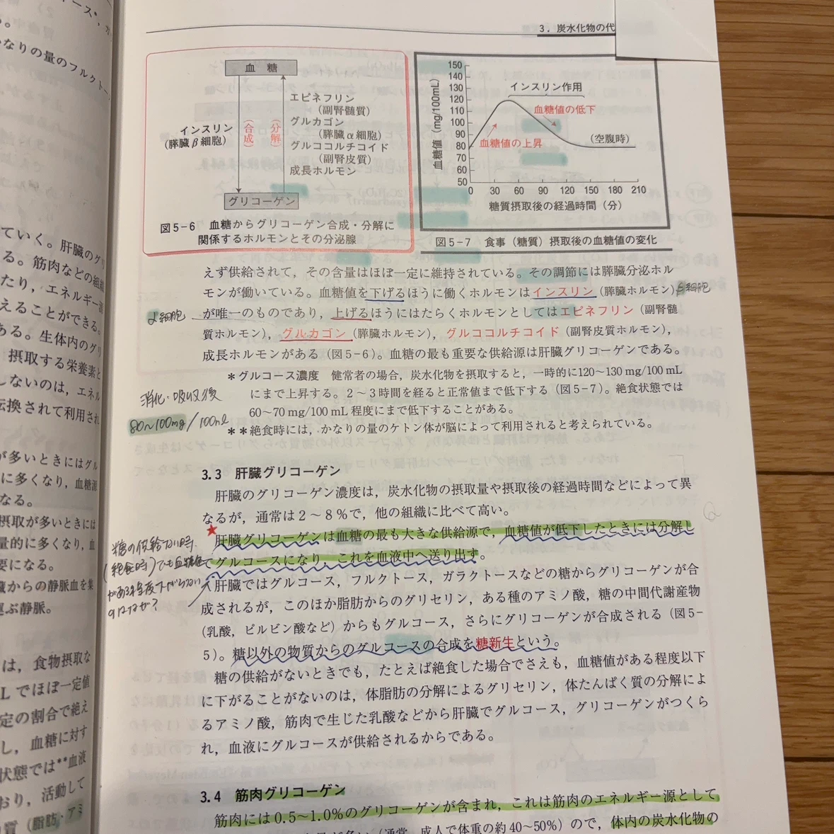 三訂 栄養学総論 日本人の食事摂取基準準拠の写真3枚目