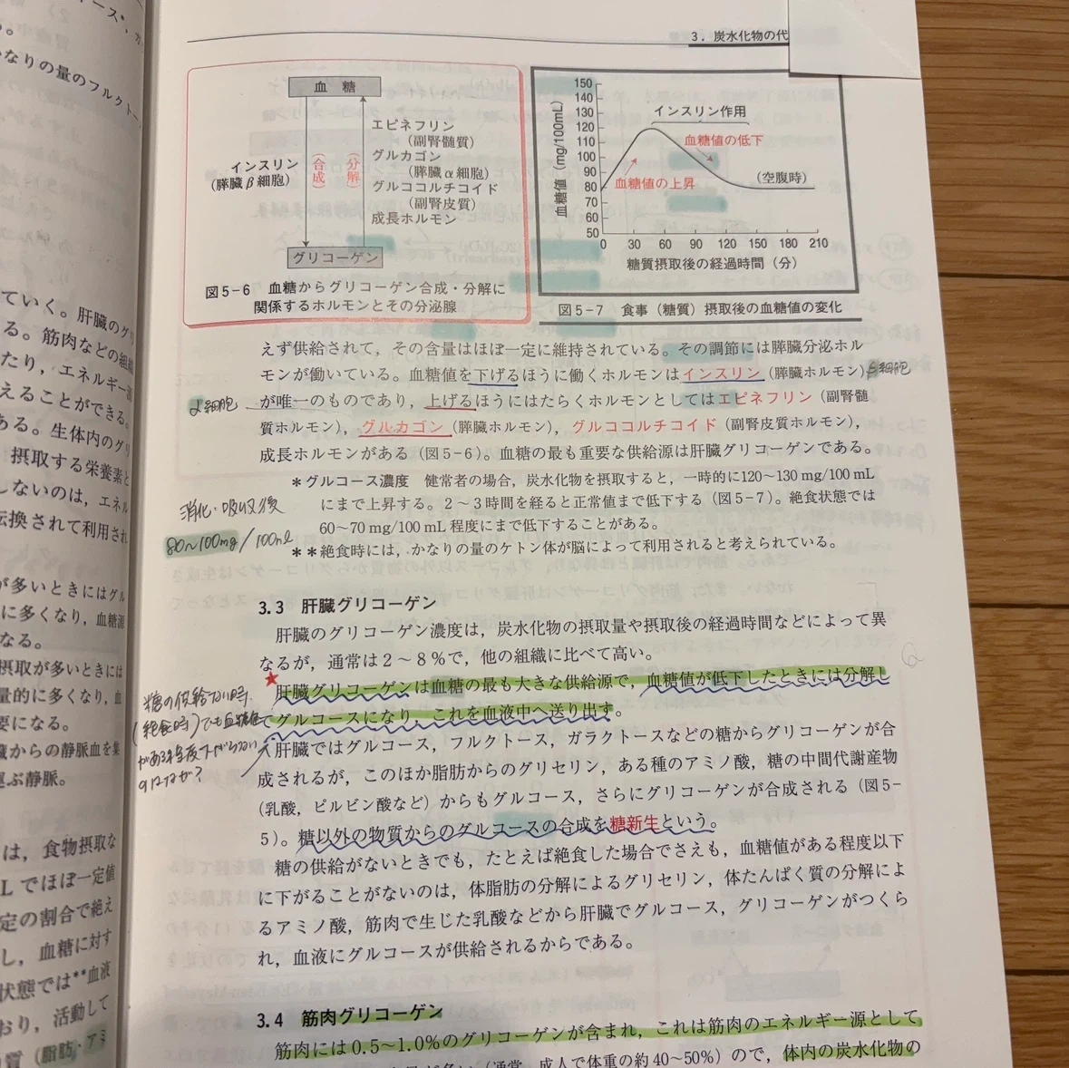三訂 栄養学総論 日本人の食事摂取基準準拠の写真3枚目