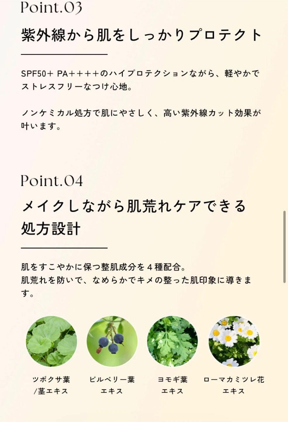 【新品/PHI Beauty】PHI コンシーラー ライトベージュの写真8枚目