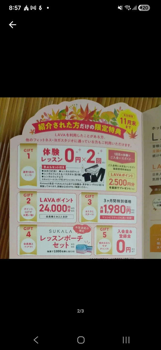 ラバ　lava 紹介チケット