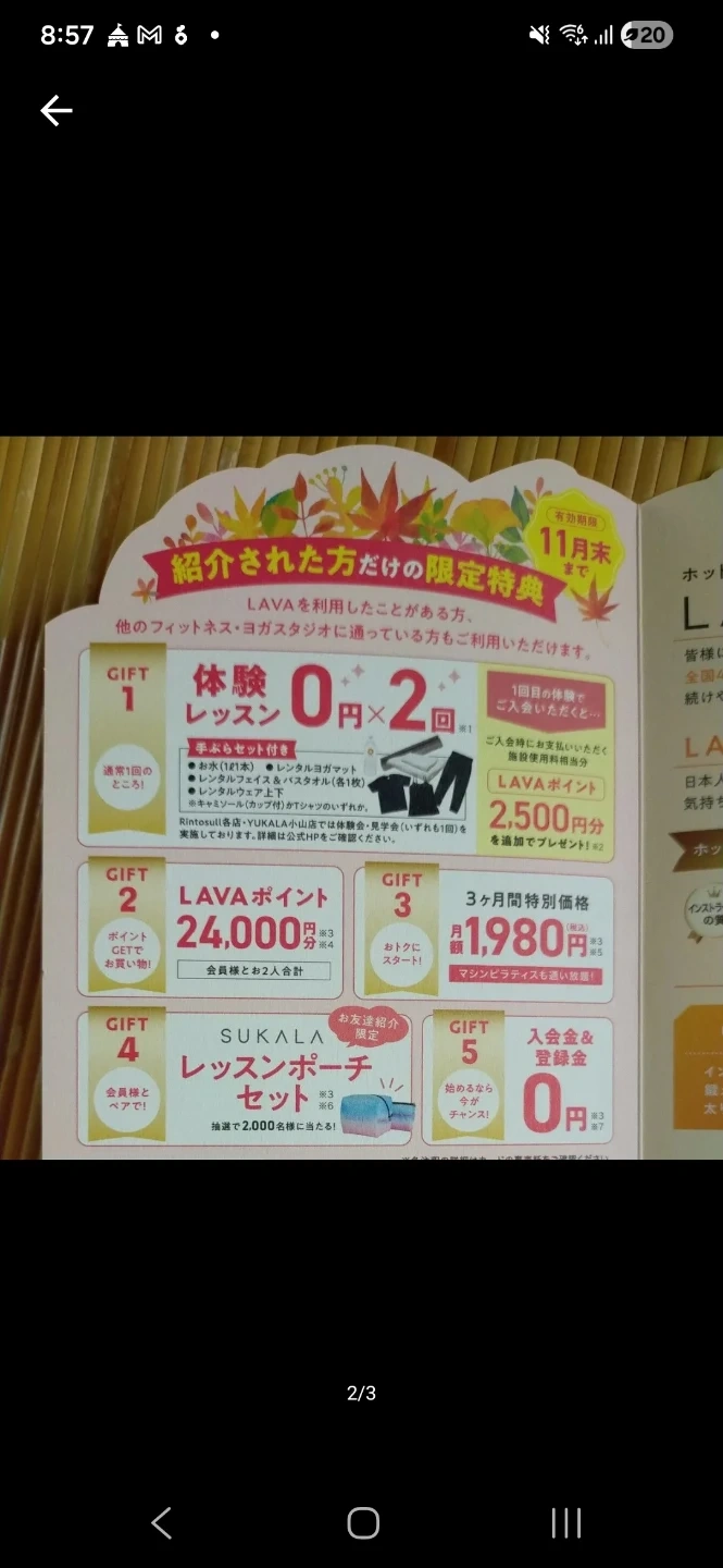 ラバ lava 紹介チケット