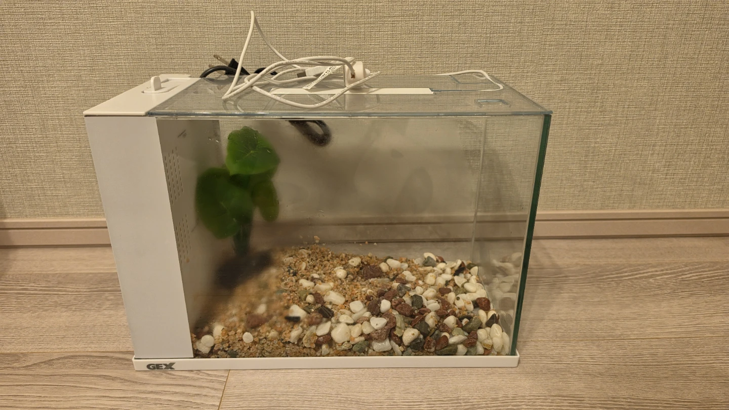 GEX 水槽セット アクアリウム用品 まとめ売りの写真8枚目