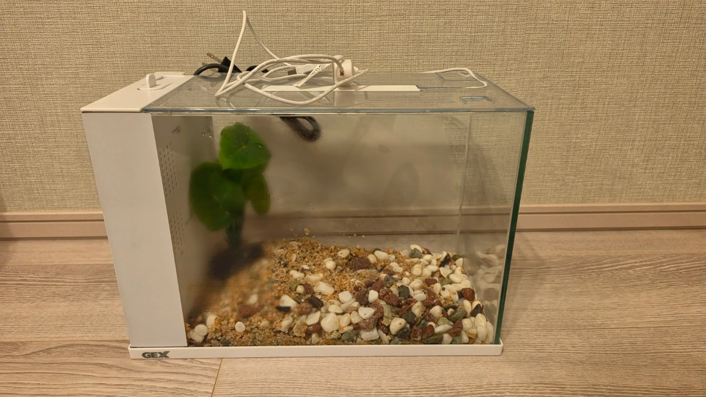 GEX 水槽セット アクアリウム用品 まとめ売りの写真8枚目