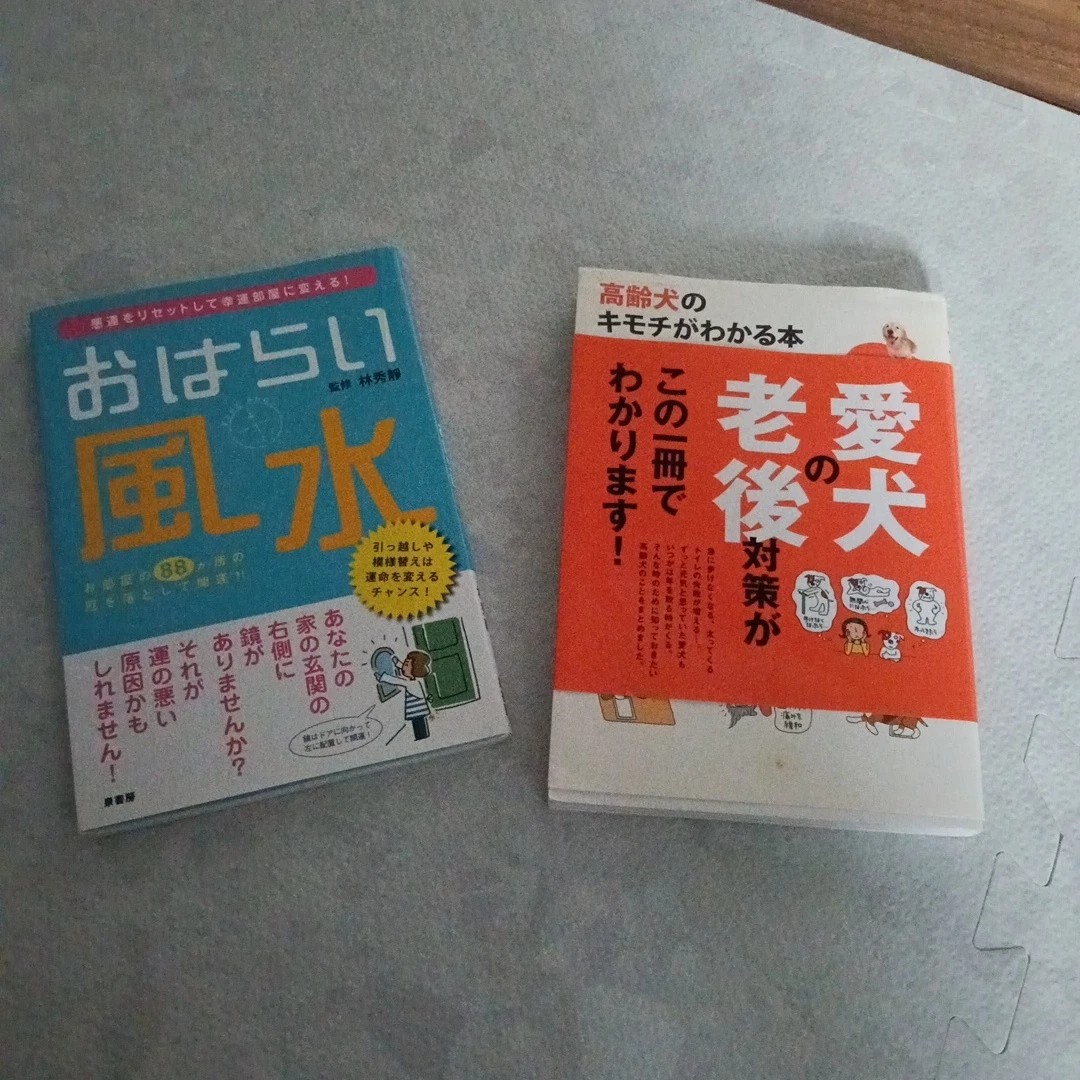 雑誌