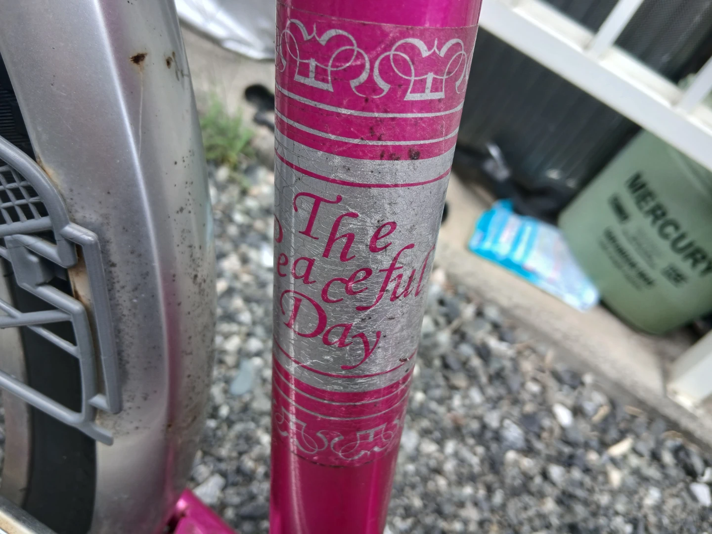 カテリーナ シティサイクル ピンクの写真2枚目