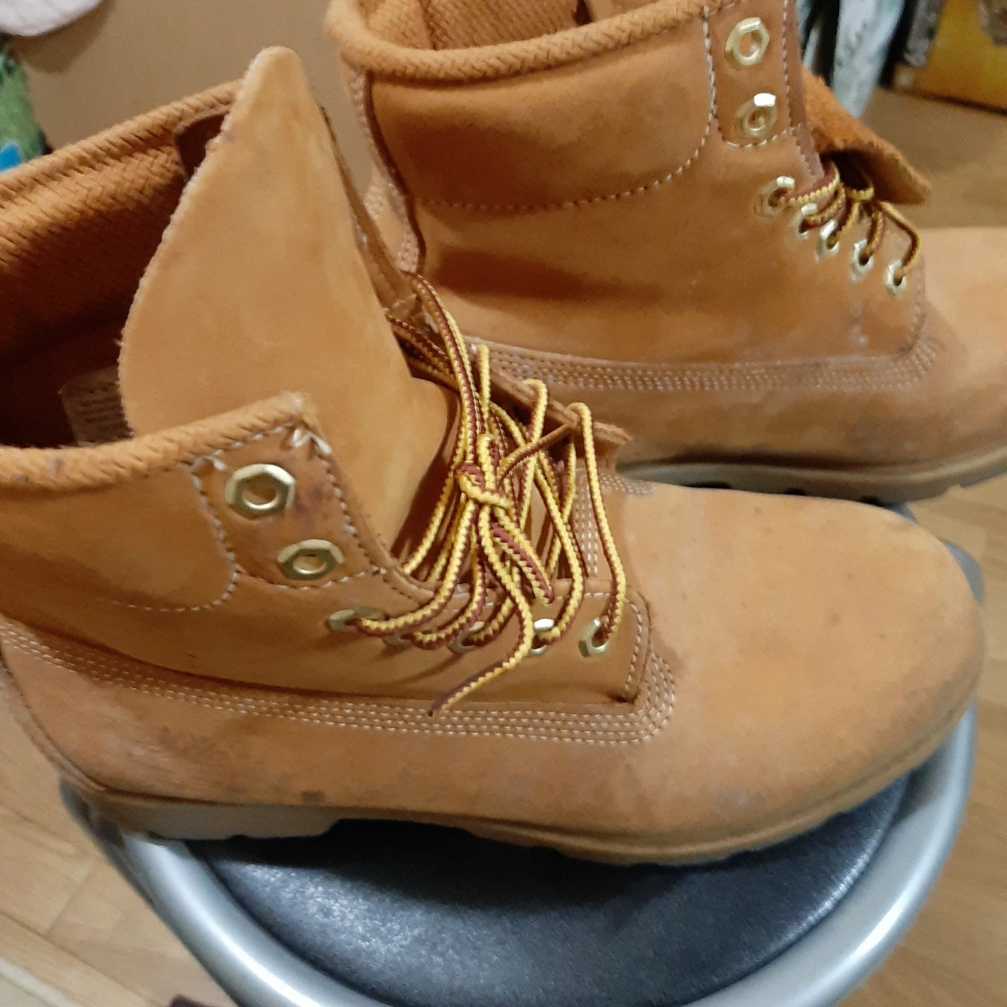 TimbderLandの写真2枚目