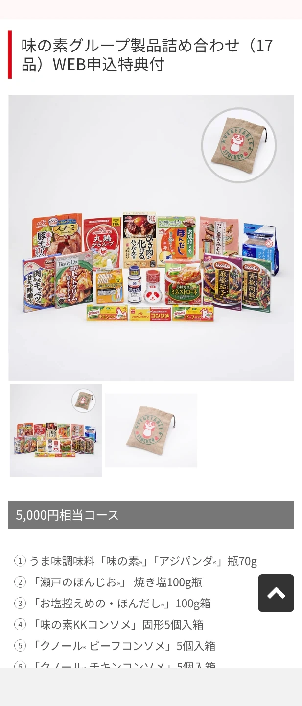 味の素グループ 調味料詰め合わせ 17点+バッグ