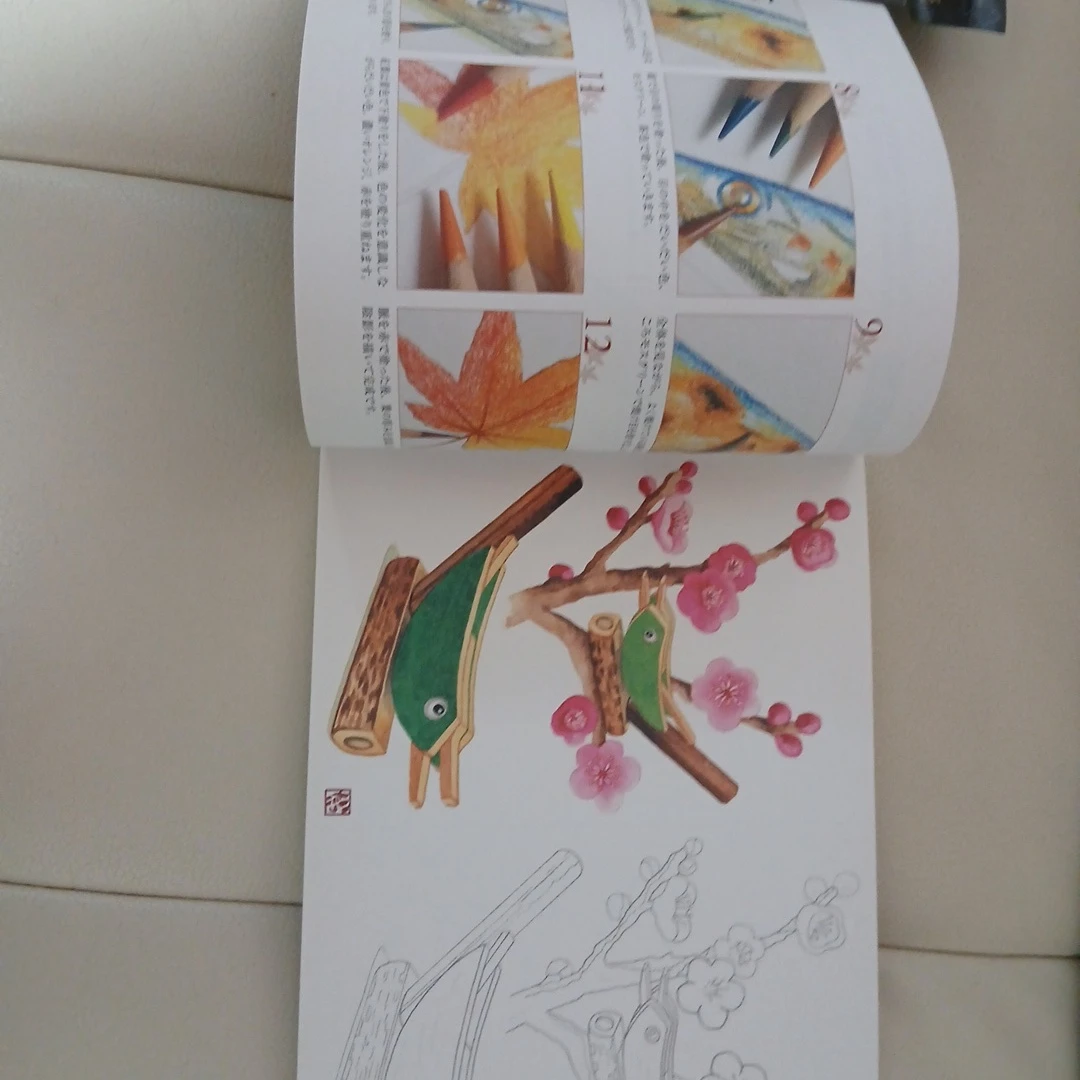 大人の塗り絵とトンボ鉛筆12色セットの写真4枚目