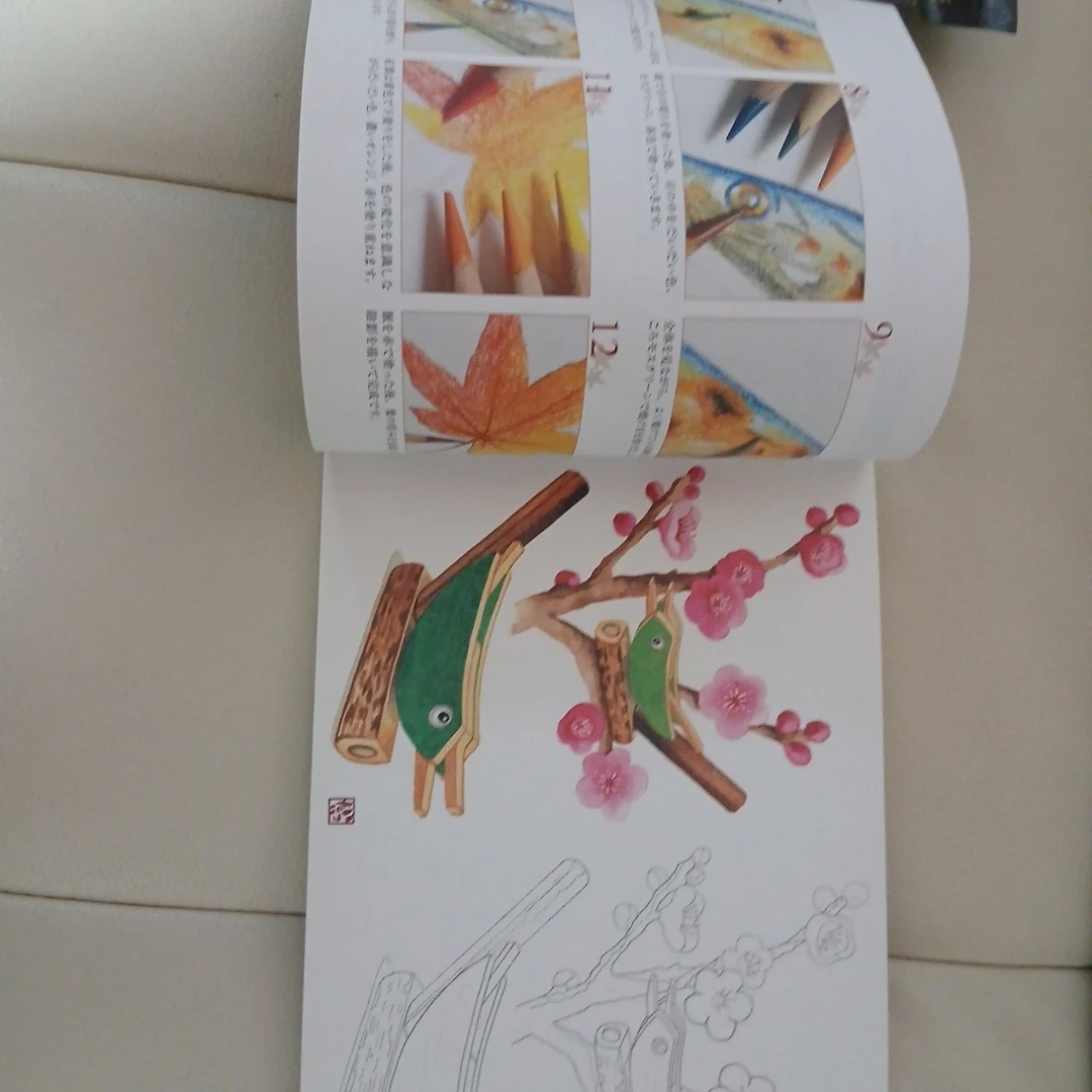 大人の塗り絵とトンボ鉛筆12色セットの写真4枚目