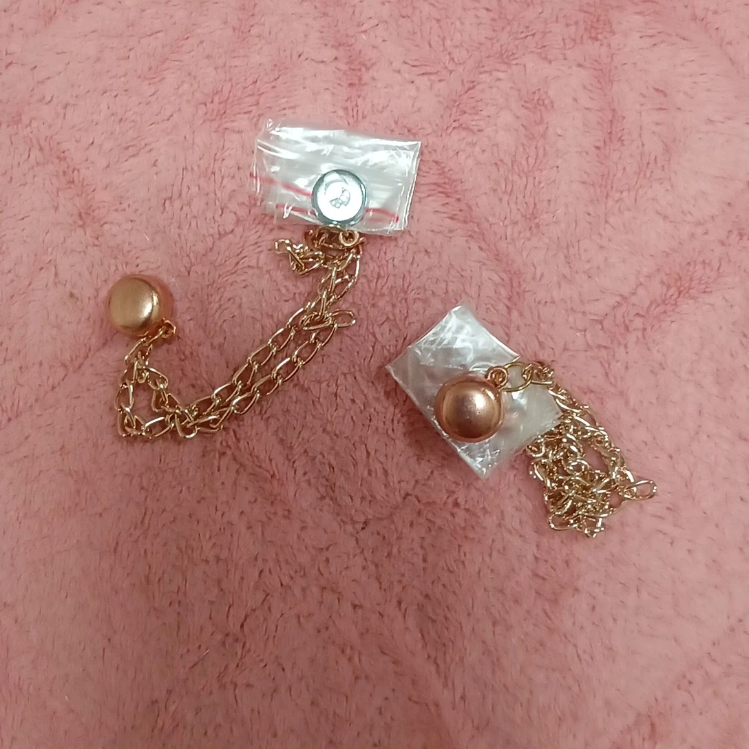 磁石のなにか 2点セット