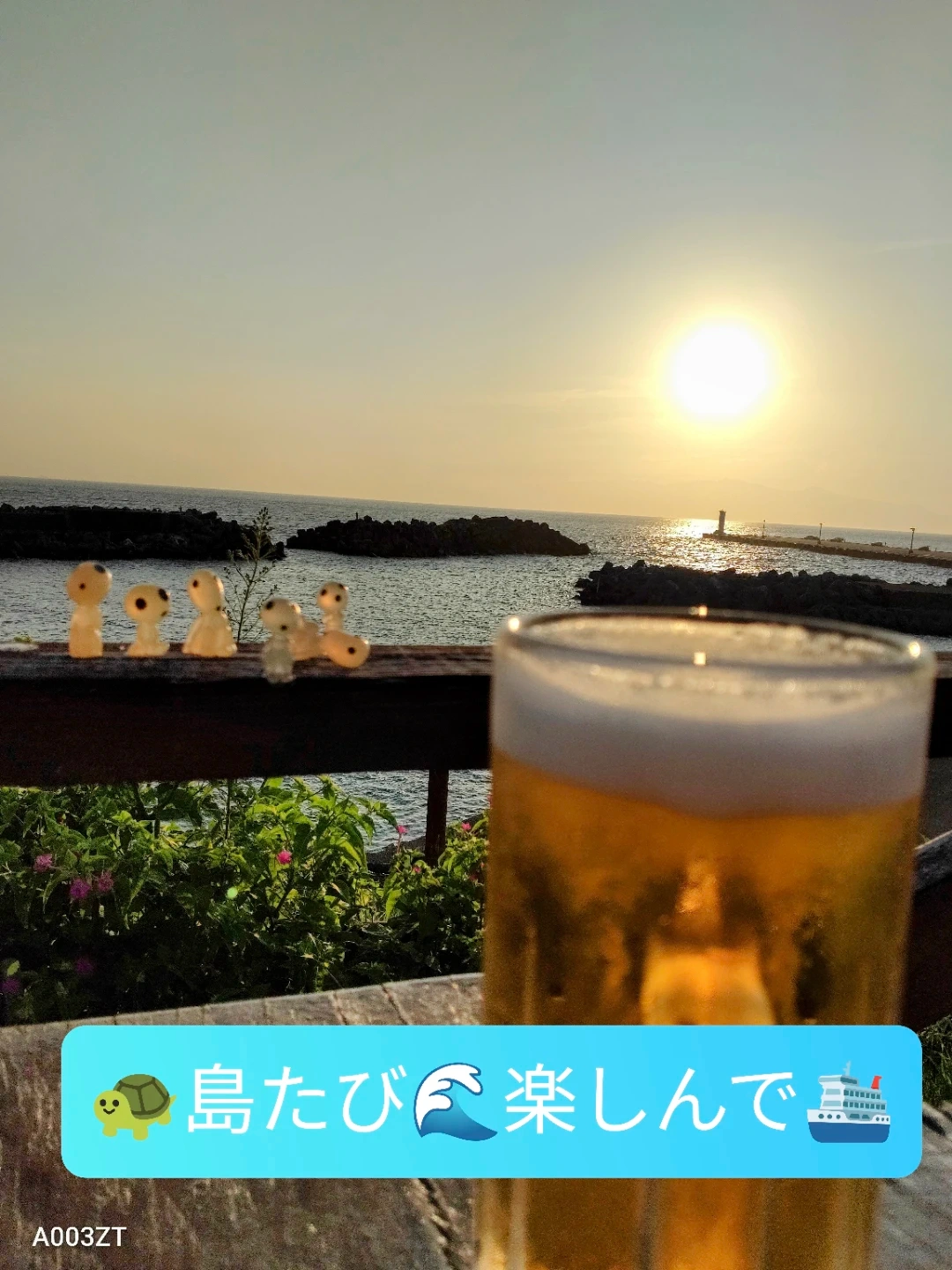 東海汽船 株主乗船割引券8枚+サービス券の写真2枚目