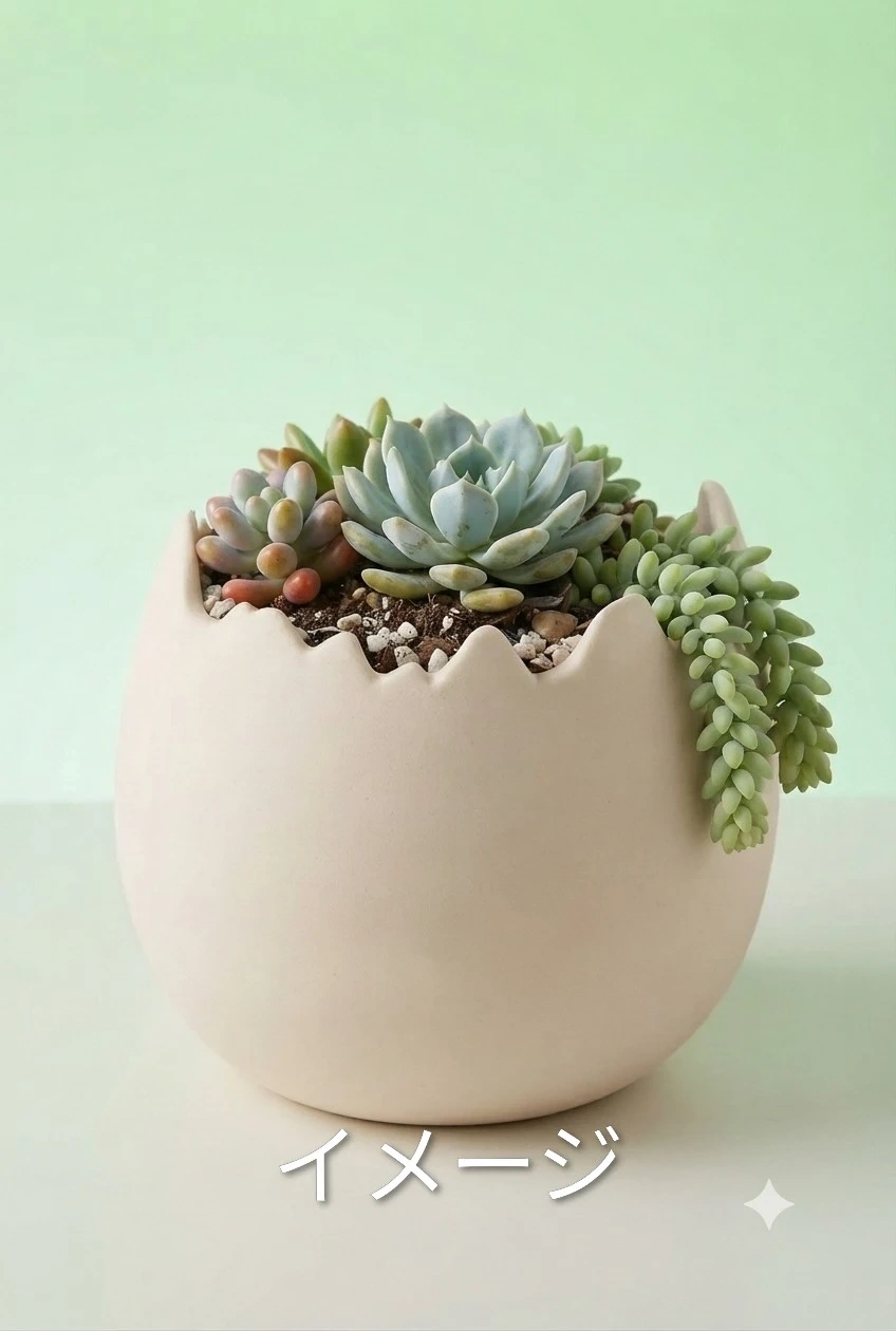 卵型 陶器製 植木鉢 ベージュ 新品未使用の写真5枚目