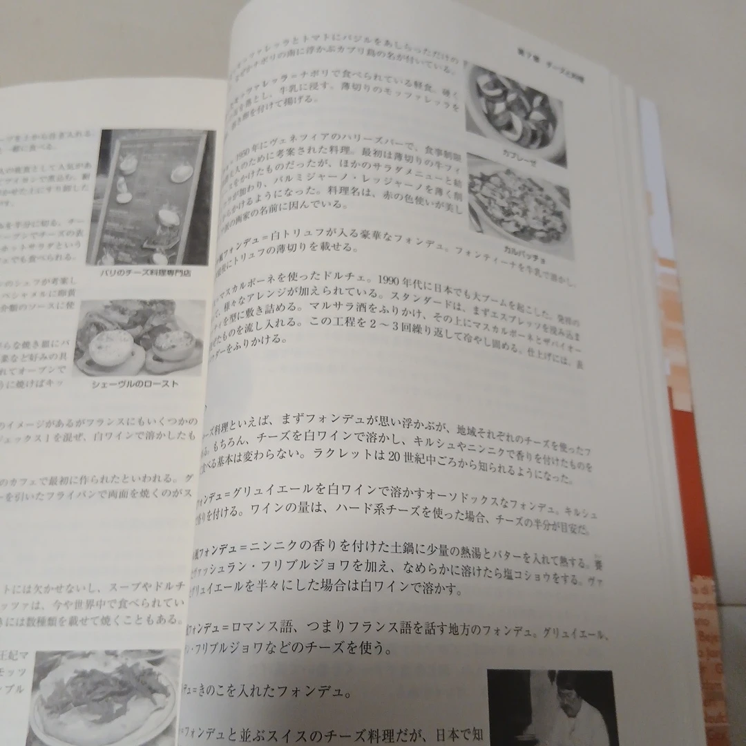 チーズプロフェッショナル教本 2015年の写真3枚目