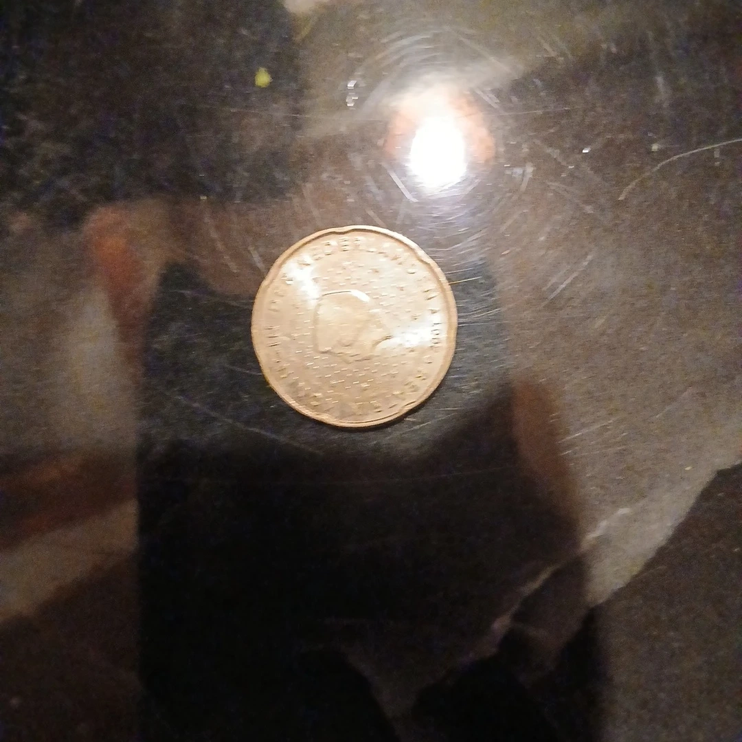 外国コイン 20セント 硬貨の写真2枚目