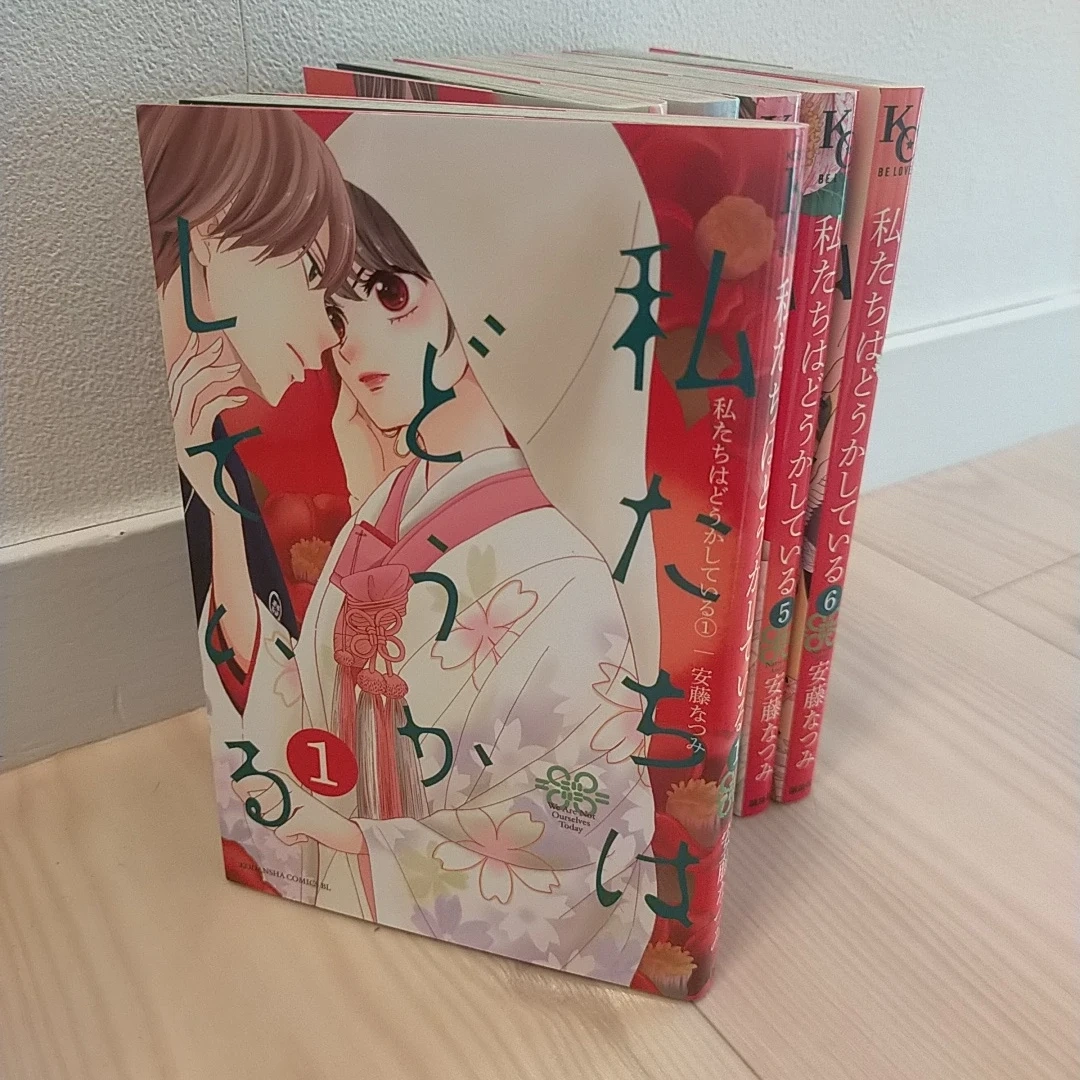 私たちはどうかしている 全巻セット 安藤なつみ