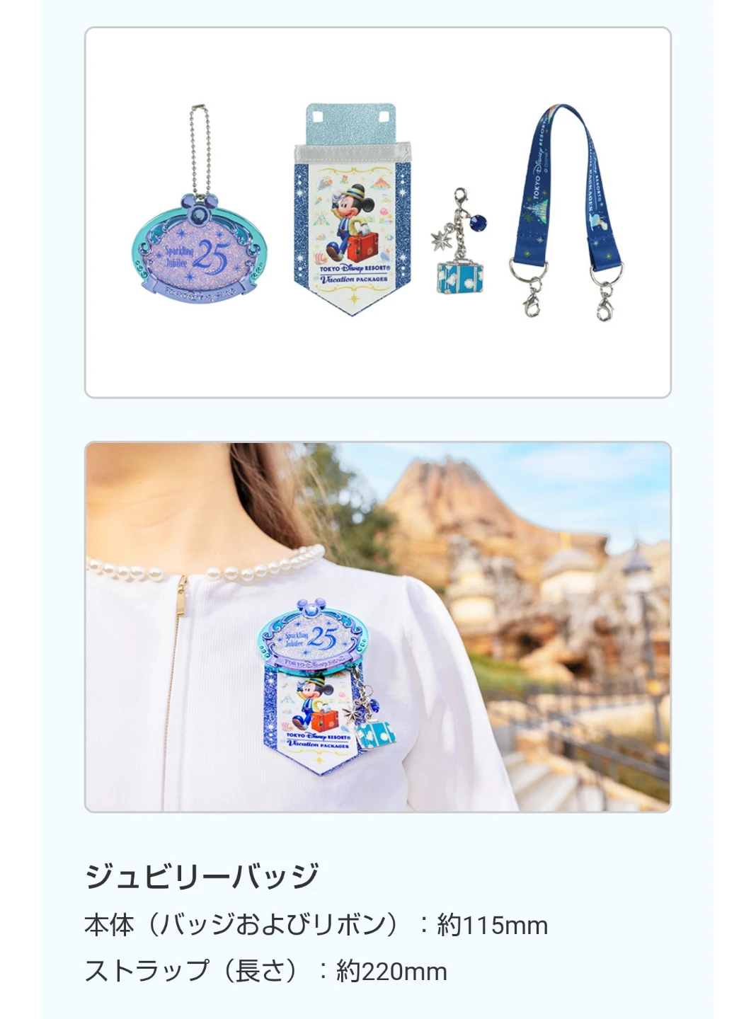 東京ディズニーリゾートバケパグッズの写真6枚目