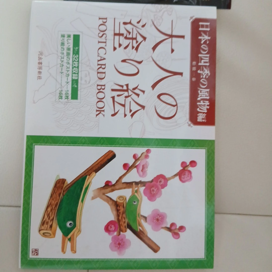 大人の塗り絵とトンボ鉛筆12色セットの写真2枚目