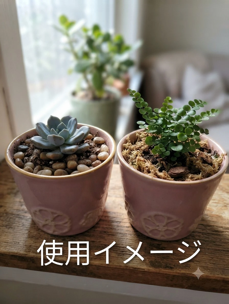 植木鉢　 2個セット ピンクの写真5枚目