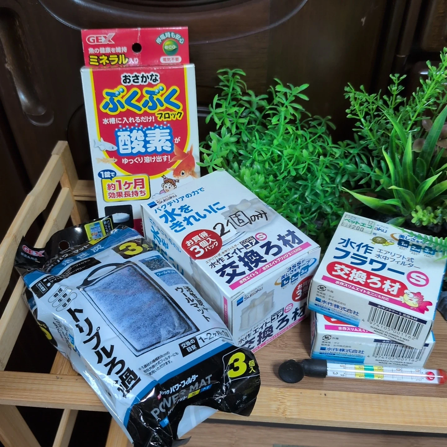 淡水魚飼育キットの写真2枚目