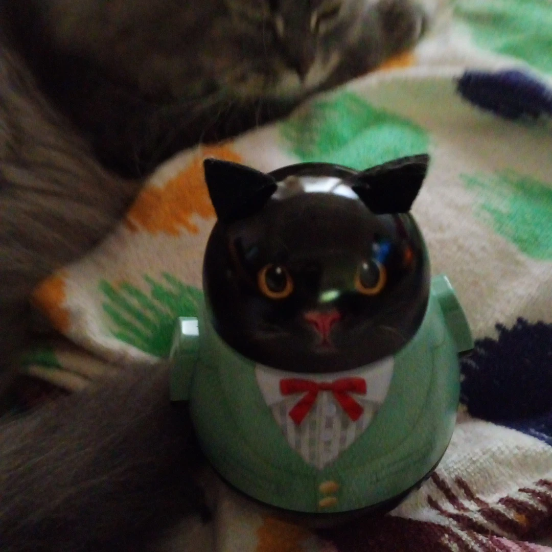 黒猫型　缶　の写真3枚目